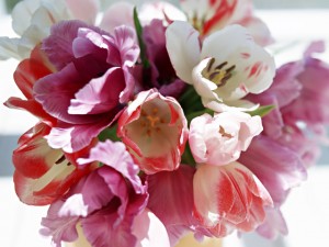 H社長 から N店 へ