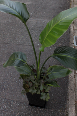 新築おめでとうございます！