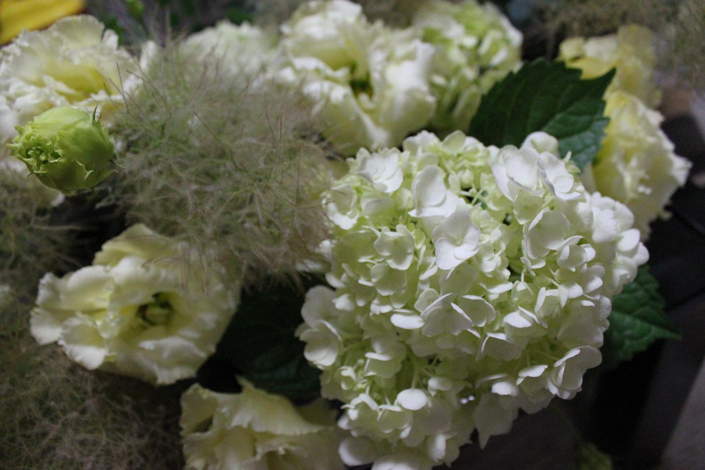 お誕生日おめでとう＾＿＾