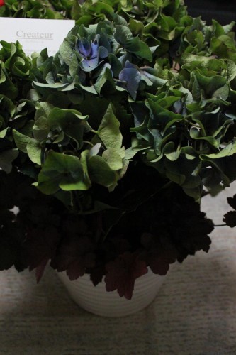 OPENおめでとうございます☆☆☆