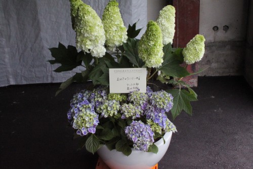 事務所開業祝い